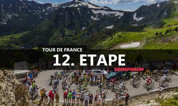 12. etape i Tour de France