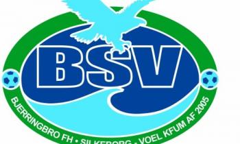 Danske Spil tipper håndbold-guld til BSV