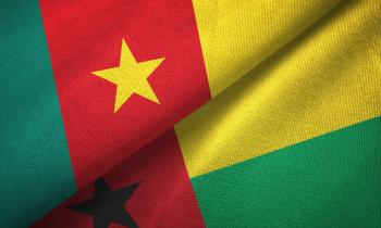 Cameroun - Guinea-Bissau spilforslag: De Ukuelige Løver sejrer sikkert